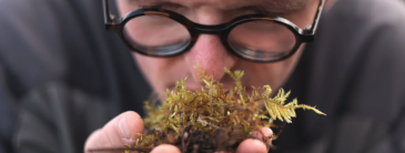 image of peat