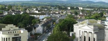 Nenagh trees