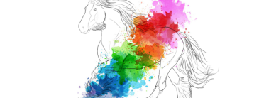 North Tipperary Traveller Pride Week 2022