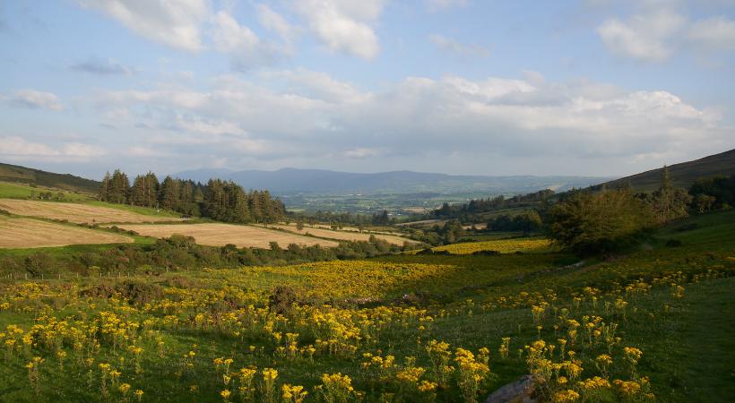 Tipperary Landscape image
