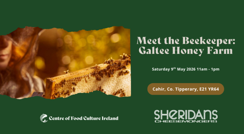 image of a honey comb