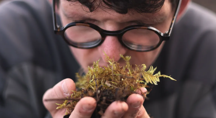 image of peat