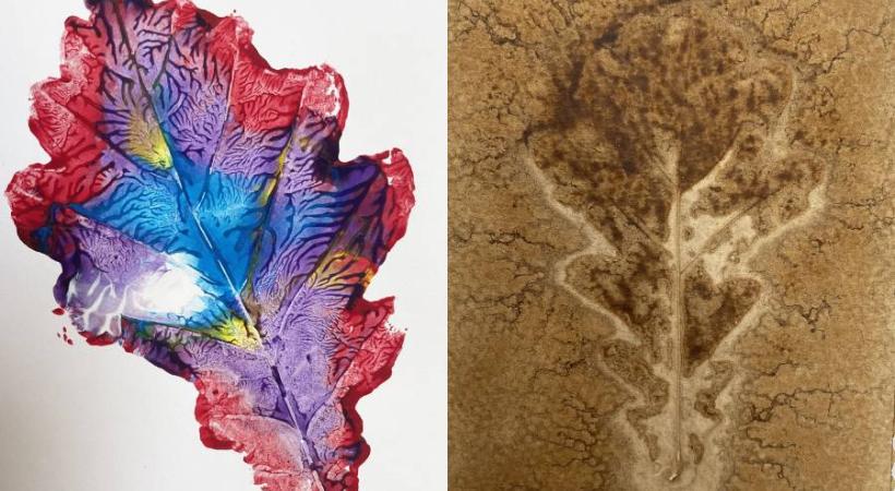Image of leaf