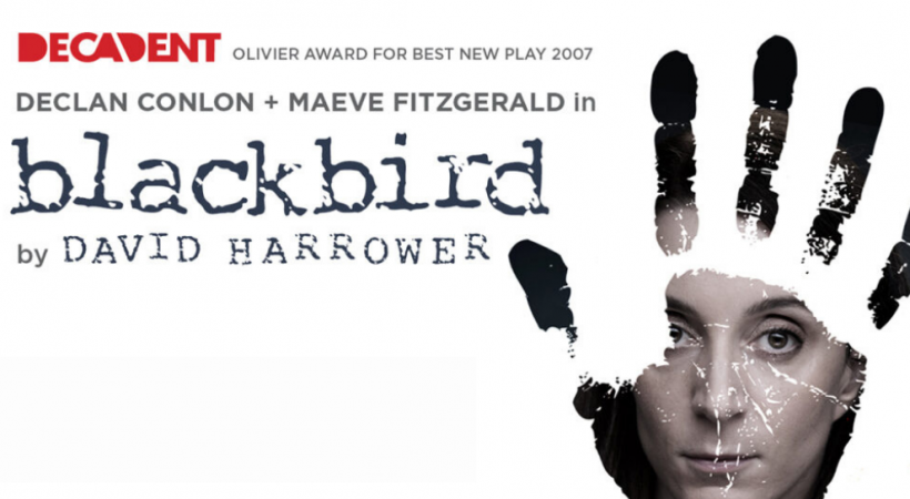 Blackbird poster image