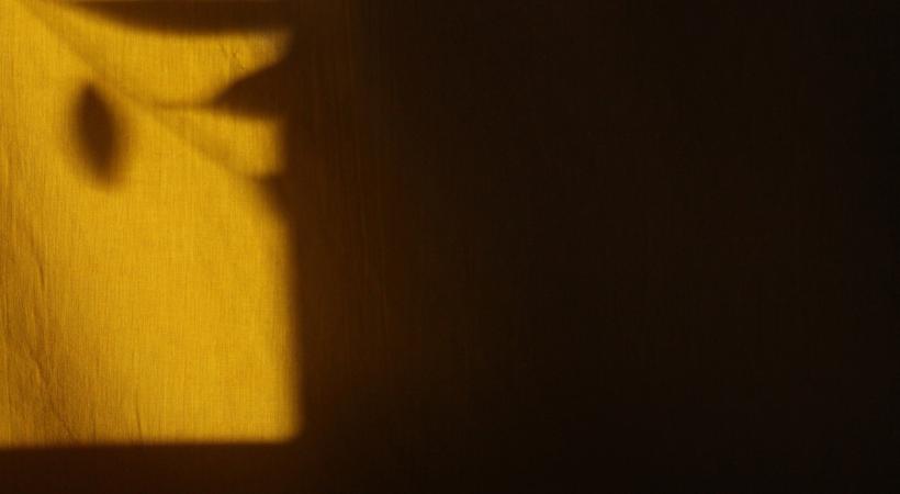 Shadow of a leaf on a wall.